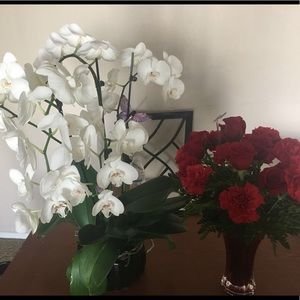 Meet your Posher, Jamila